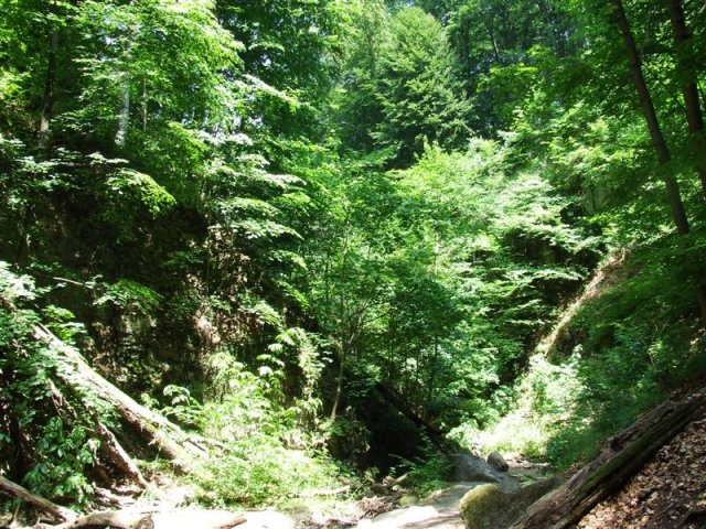 DSCF0137 (Medium)